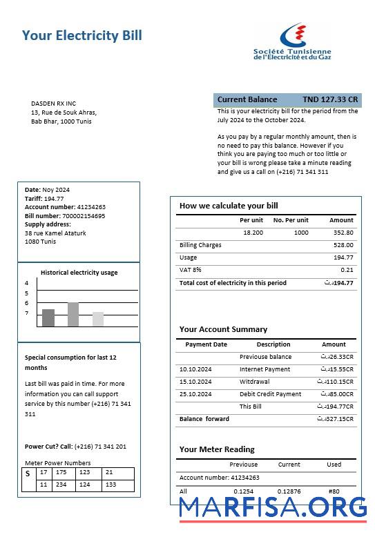 Downloadable Tunisia electricity proof of address business utility bill template in Word and PDF formats
